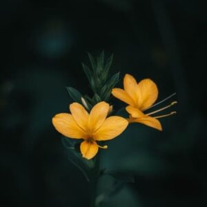 دانلود آهنگ من مهربون بودم باهات موندم به پات میثم حسینی دانلود آهنگ من مهربون بودم باهات موندم به پات میثم حسینی