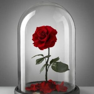دانلود آهنگ من واسه یکی میمیرم که واسه‌ من تب کنه