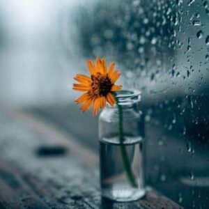دانلود آهنگ دردیم اولماز یاخین اولسام سنینه روشن ممدو