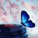 دانلود آهنگ تو رژی می‌داری چیت می‌کنی
